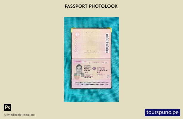 listo para imprimir plantilla de aspecto fotográfico del pasaporte de Malasia ()